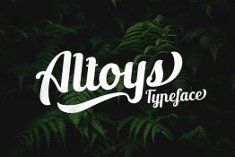 new altoys typeface