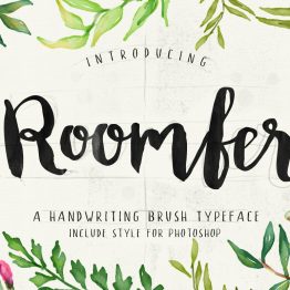 Roomfer typeface