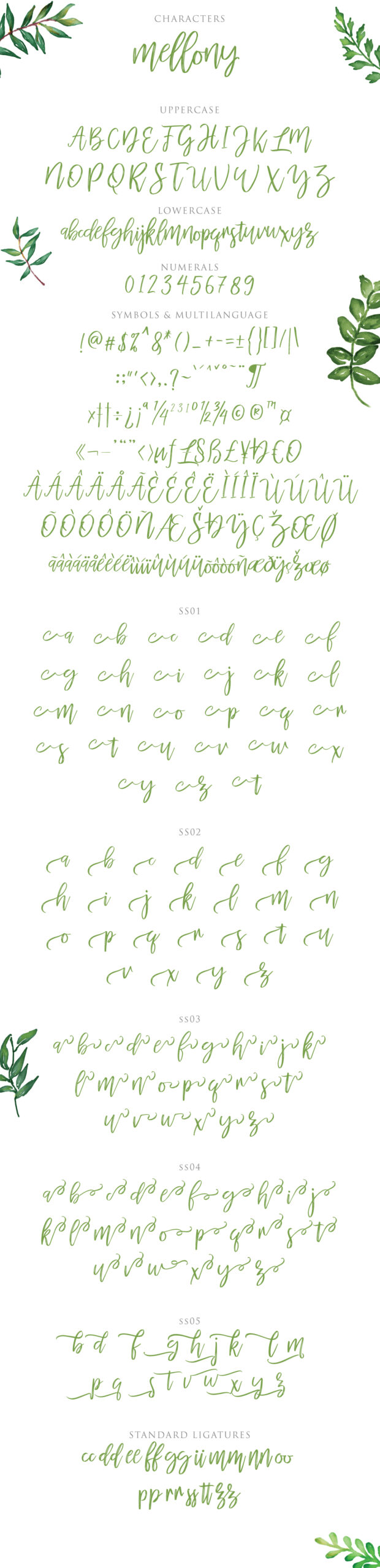 mellony brush script font